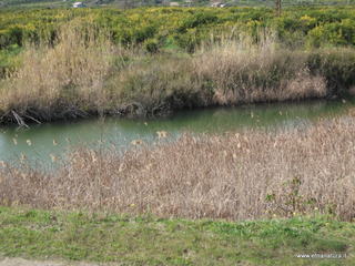lle del Simeto-24-02-2013 10-28-38